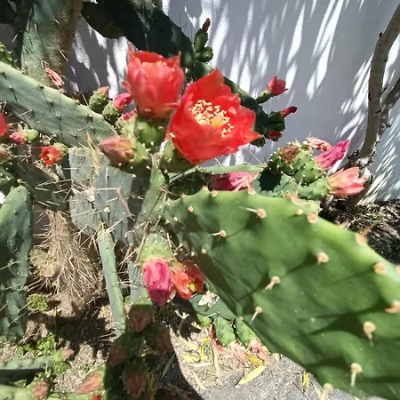 Le Di Esteca - Blue Dwelling *