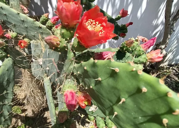 Le Di Esteca - Blue Dwelling *